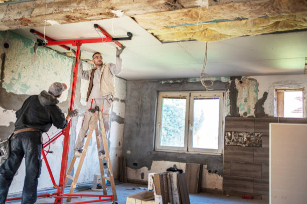 Eco-Friendly or Green Insulation Solutions in Newnan, GA